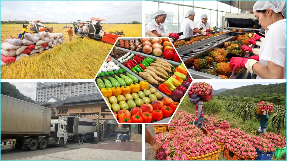 Xuất Khẩu Nông Lâm Thủy Sản