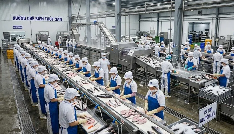 Cá tra tăng mạnh xuất khẩu Cá tra tăng mạnh xuất khẩu